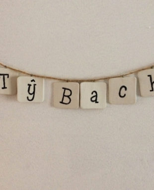 Ty Bach