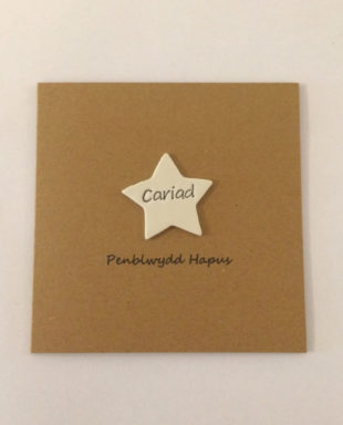 Penblwydd Hapus Cariad