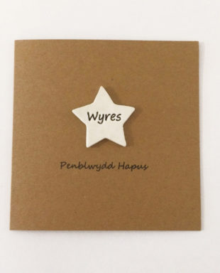 Penblwydd Hapus Wyres
