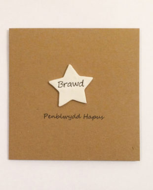 Penblwydd Hapus Brawd
