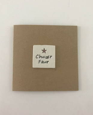 Chwaer Fawr