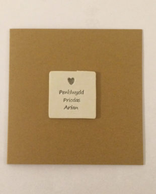 Penblwydd Priodas Arian