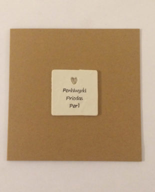 Penblwydd Priodas Perl