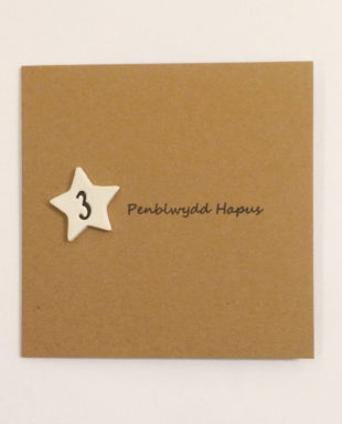 Penblwydd Hapus 3