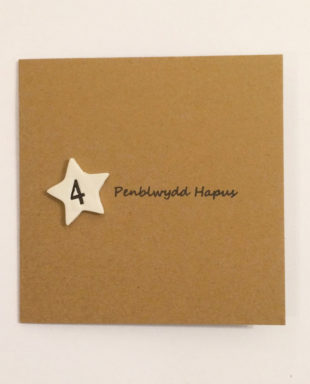 Penblwydd Hapus 4