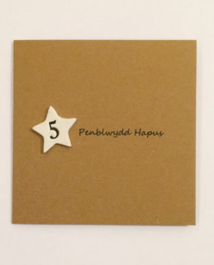 Penblwydd Hapus 5