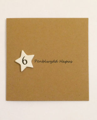 Penblwydd Hapus 6