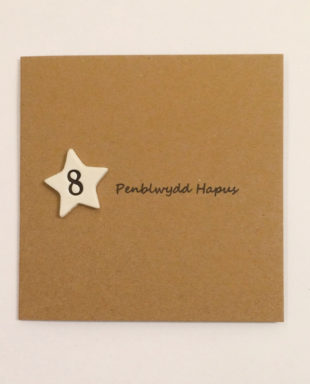 Penblwydd Hapus 8