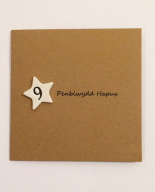 Penblwydd Hapus 9