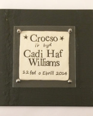 Ffram Baban Newydd Llechan Fach - Croeso i'r Byd