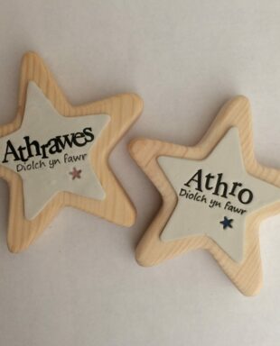 Addurn Pren Athrawes/Athro
